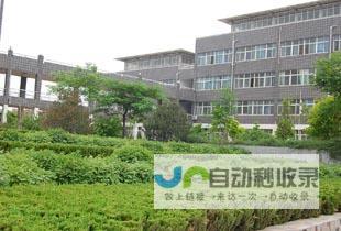 助力邯郸企业成功