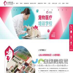 小野宠爱